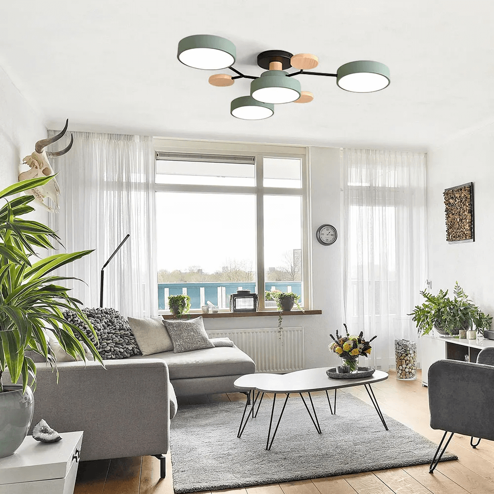 Modern Circular Living Room LED Ceiling Light