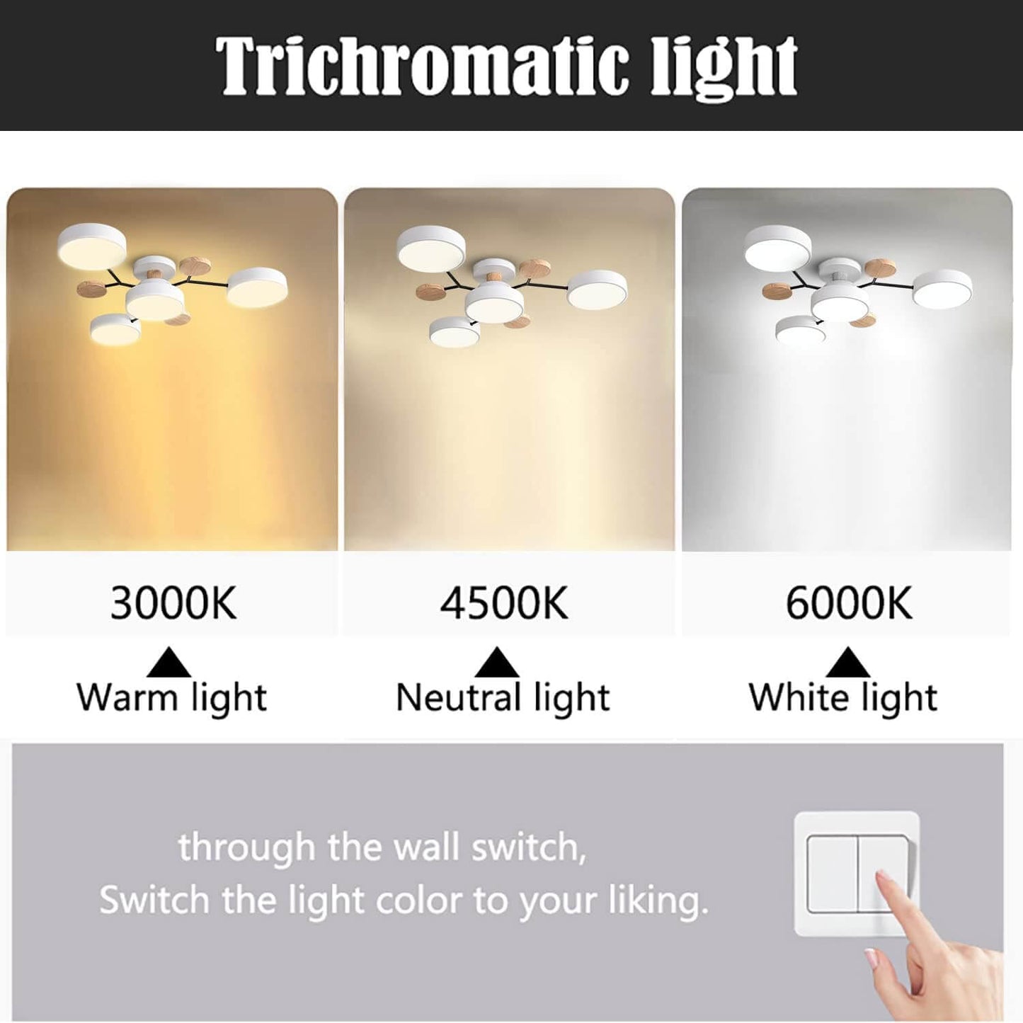 Modern Circular Living Room LED Ceiling Light