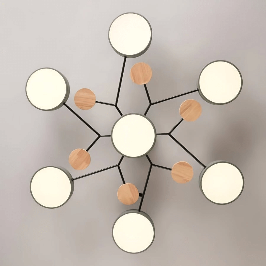 Modern Circular Living Room LED Ceiling Light