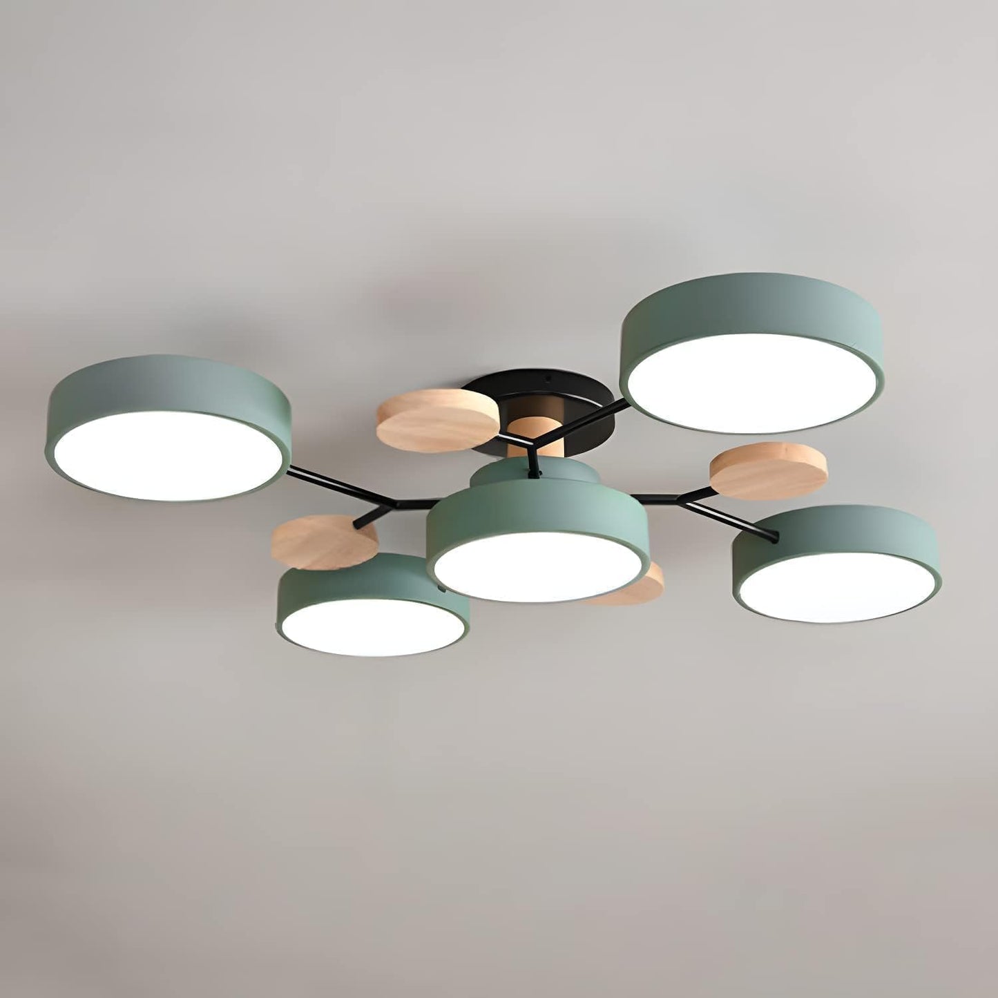 Modern Circular Living Room LED Ceiling Light