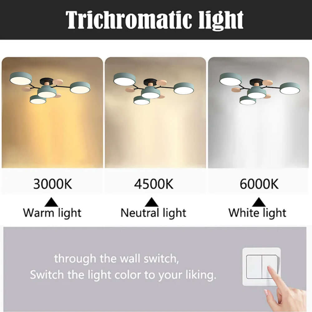 Modern Circular Living Room LED Ceiling Light